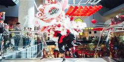 wsa-lny-lion-dance-photo