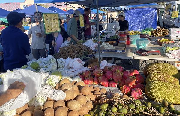 BuiVanPhu_2025_1231_CuoiNam_H02_ChoNongSan